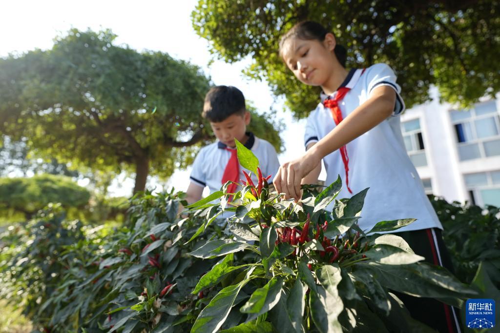 万能捕鱼辅助器